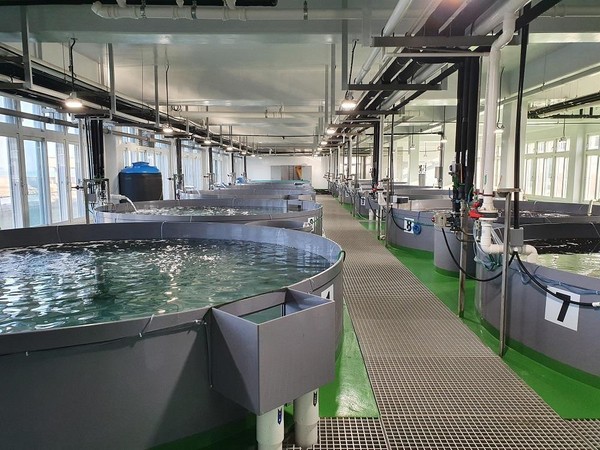 자동제어 시스템을 갖춘 '친환경첨단갑각류연구센터'의 사육수조