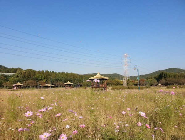 인천대공원 여울꽃길