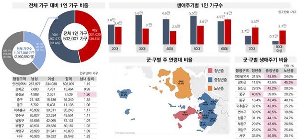 지난해 7월 기준 행정안전부 주민등록 인구통계에 따른 인천의 1인 가구 현황(자료제공=인천시)
