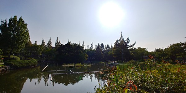 용담근린공원 중앙 연못가, 2023ⓒ유광식