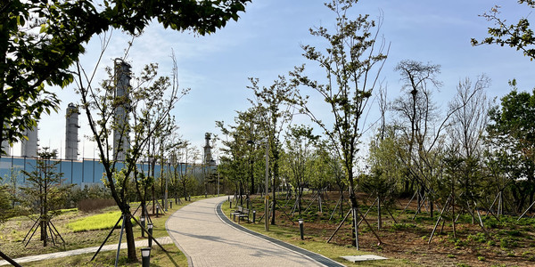 신석체육공원과 연결된 석남이음숲(조서강묘로 이어진다.), 2024ⓒ유광식