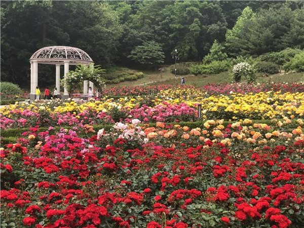 장미근린공원 (사진제공=연수구)