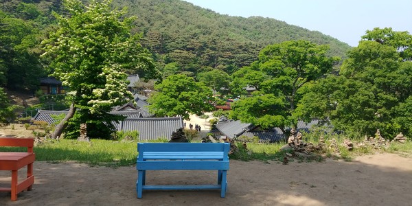 정족산진지(터만 남아 있다), 2023ⓒ김주혜