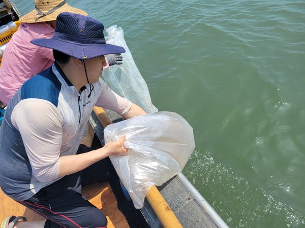 지난 23일 옹진군 영흥도 해역에서의 어린 주꾸미 방류 모습(사진제공=인천시 수산자원연구소)